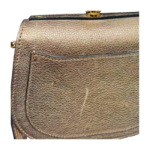 Chloé Small Nile Bracelet Bag