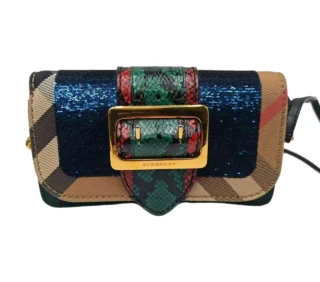 Burberry Buckle BagSosboa Python