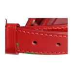 Louis Vuitton Epi Noé Bucket Bag