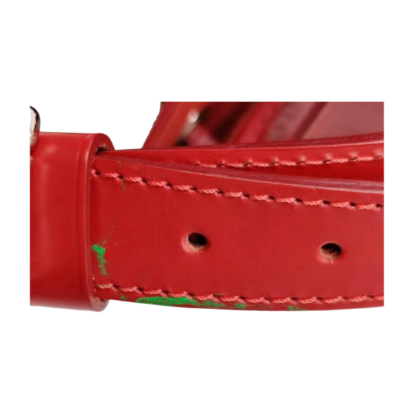 Louis Vuitton Epi Noé Bucket Bag