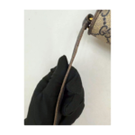 Gucci Vintage GG Supreme Envelope Crossbody Bag