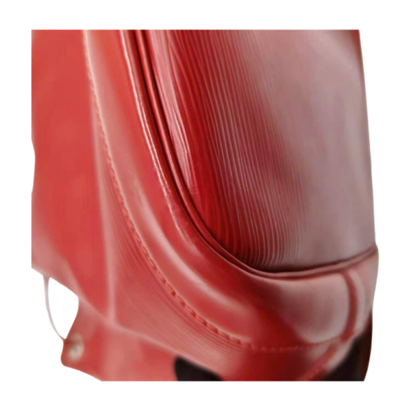 Louis Vuitton Epi Noé Bucket Bag