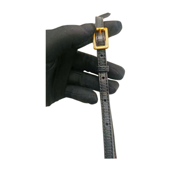 Burberry Buckle BagSosboa Python