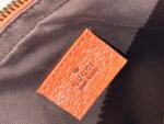 Gucci GG Canvas Mini Camera Bag