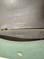 Burberry Buckle BagSosboa Python