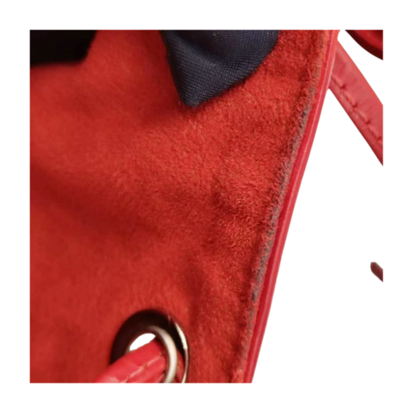 Louis Vuitton Epi Noé Bucket Bag