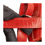 Louis Vuitton Epi Noé Bucket Bag