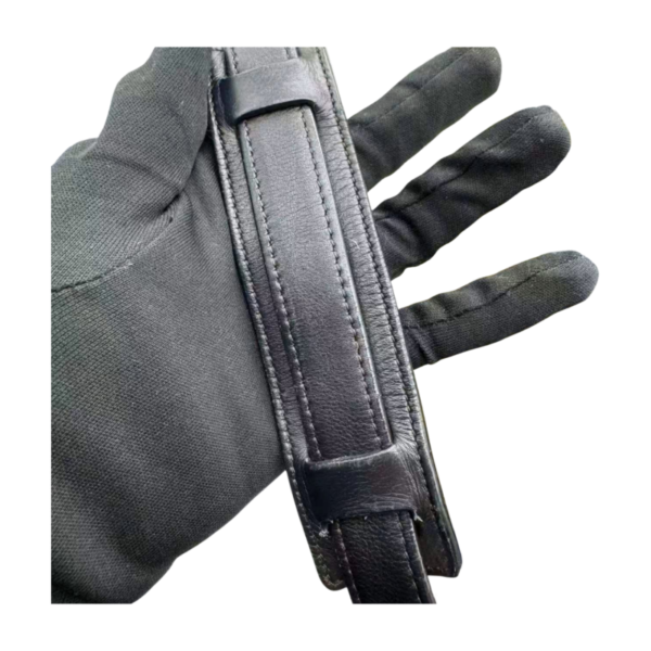 Celine Trapeze Medium Bag