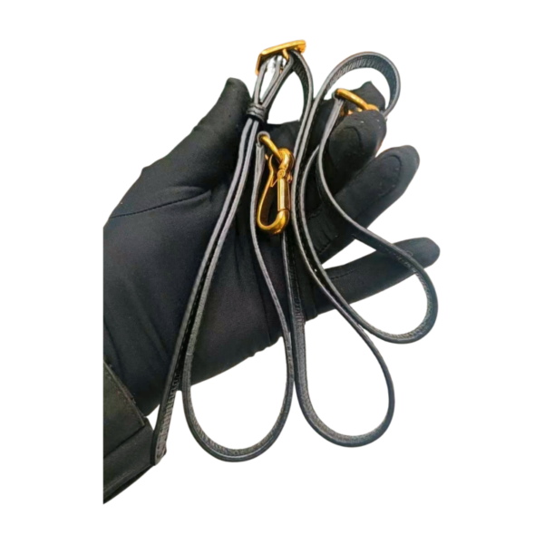 Burberry Buckle BagSosboa Python