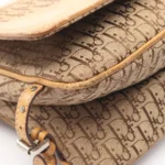 Dior Trotter Street Chic Shoulder Bag
