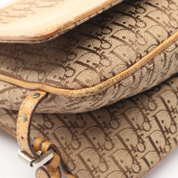 Dior Trotter Street Chic Shoulder Bag