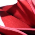 Chanel Red Vintage Metal CC Shoulder Bag