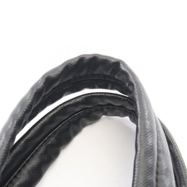 Chanel Black Paris Biarritz PM Tote