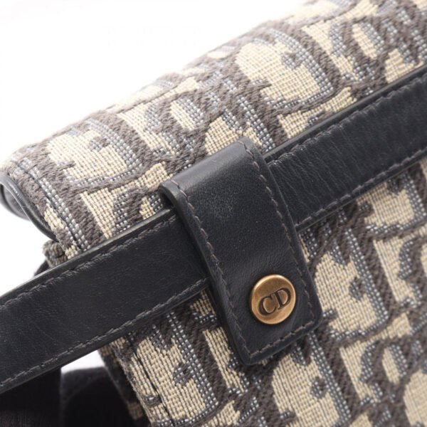 Dior Beige Saddle Oblique Belt Bag