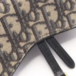 Dior Beige Saddle Oblique Belt Bag