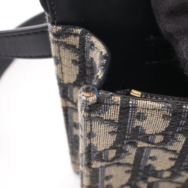 Dior Beige Saddle Oblique Belt Bag