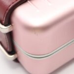 Dior Pink Dior × Rimowa Clutch