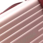 Dior Pink Dior × Rimowa Clutch