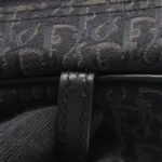 Dior Black Street Chic Trotter