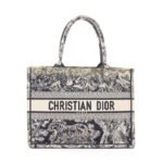Dior Blue Medium Toile de Jouy Book Tote
