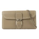 Delvaux Grey Brillant WOC